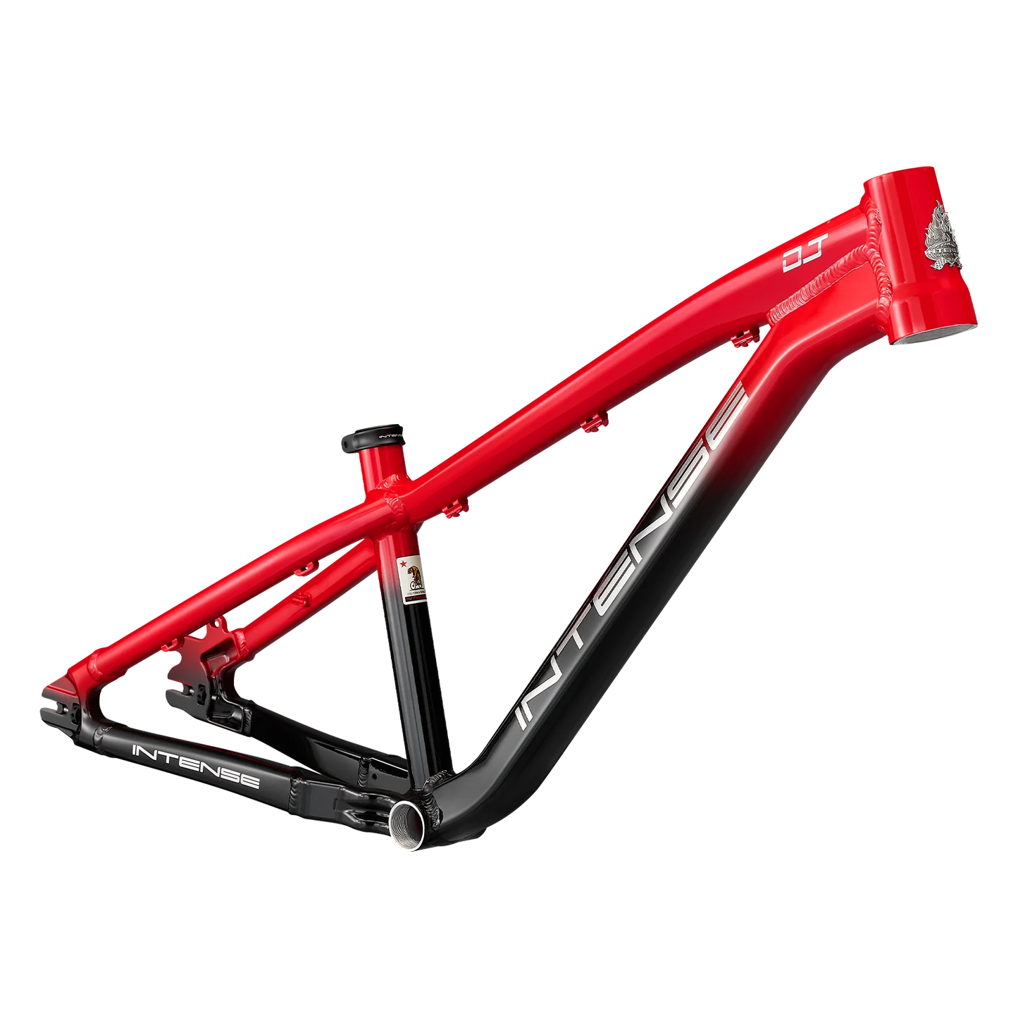 2025 DJ (DIRT JUMP) FRAME - INTENSE