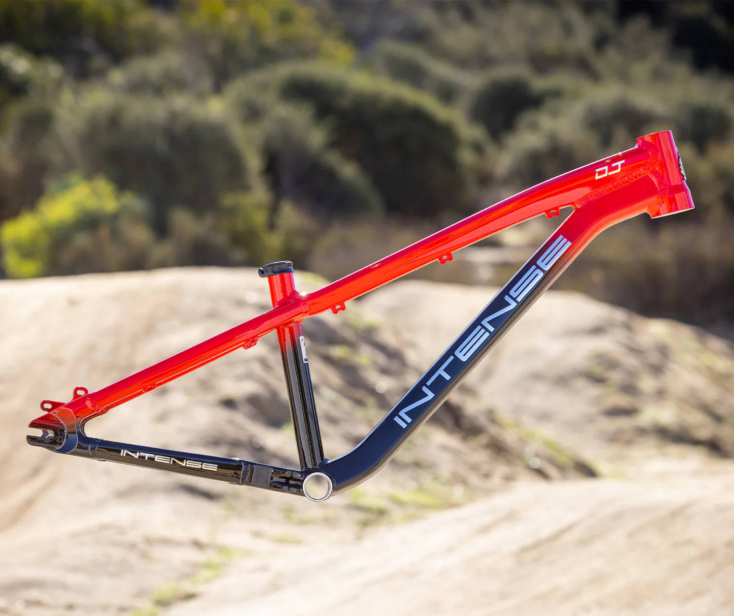 2025 DJ (DIRT JUMP) FRAME - INTENSE