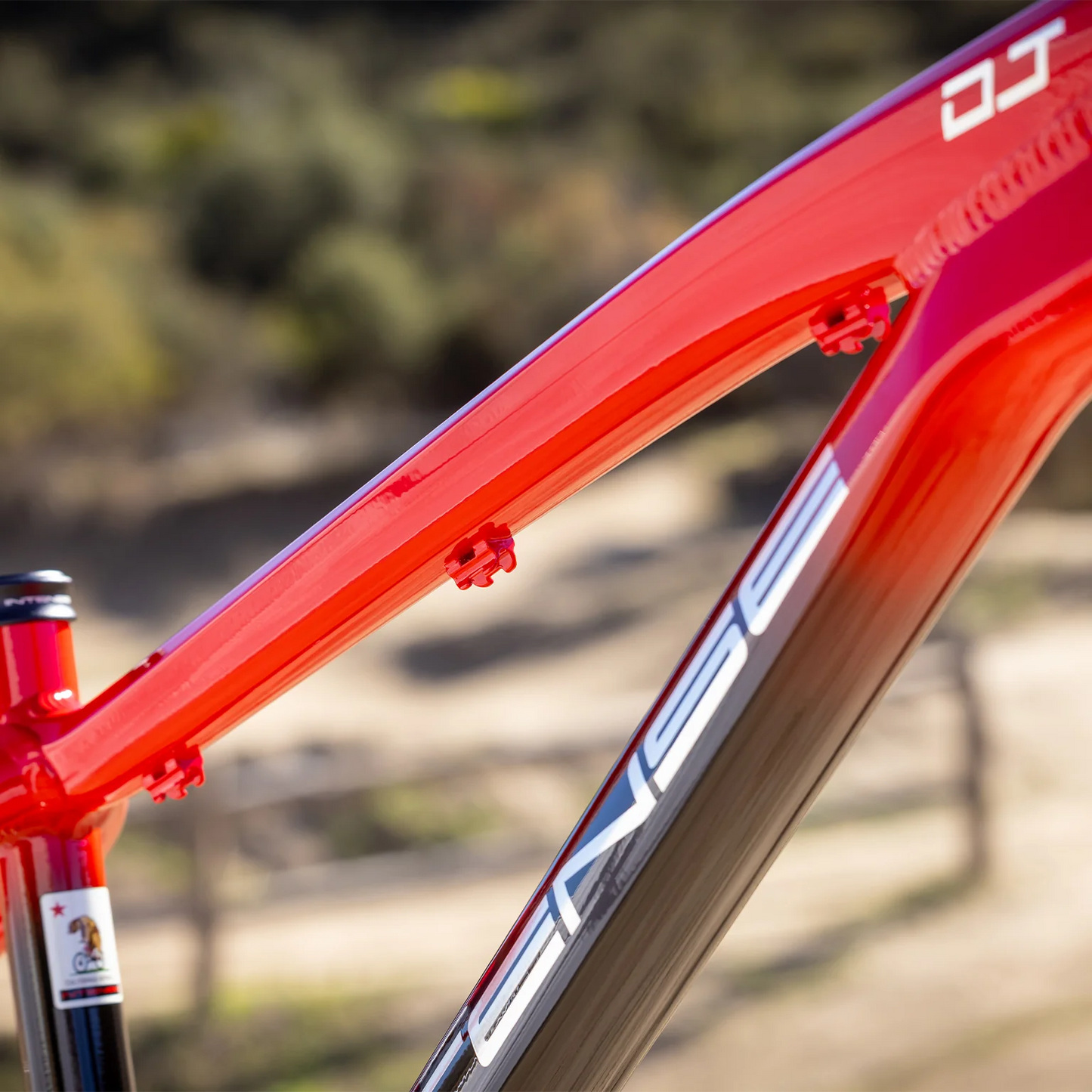 2025 DJ (DIRT JUMP) FRAME - INTENSE
