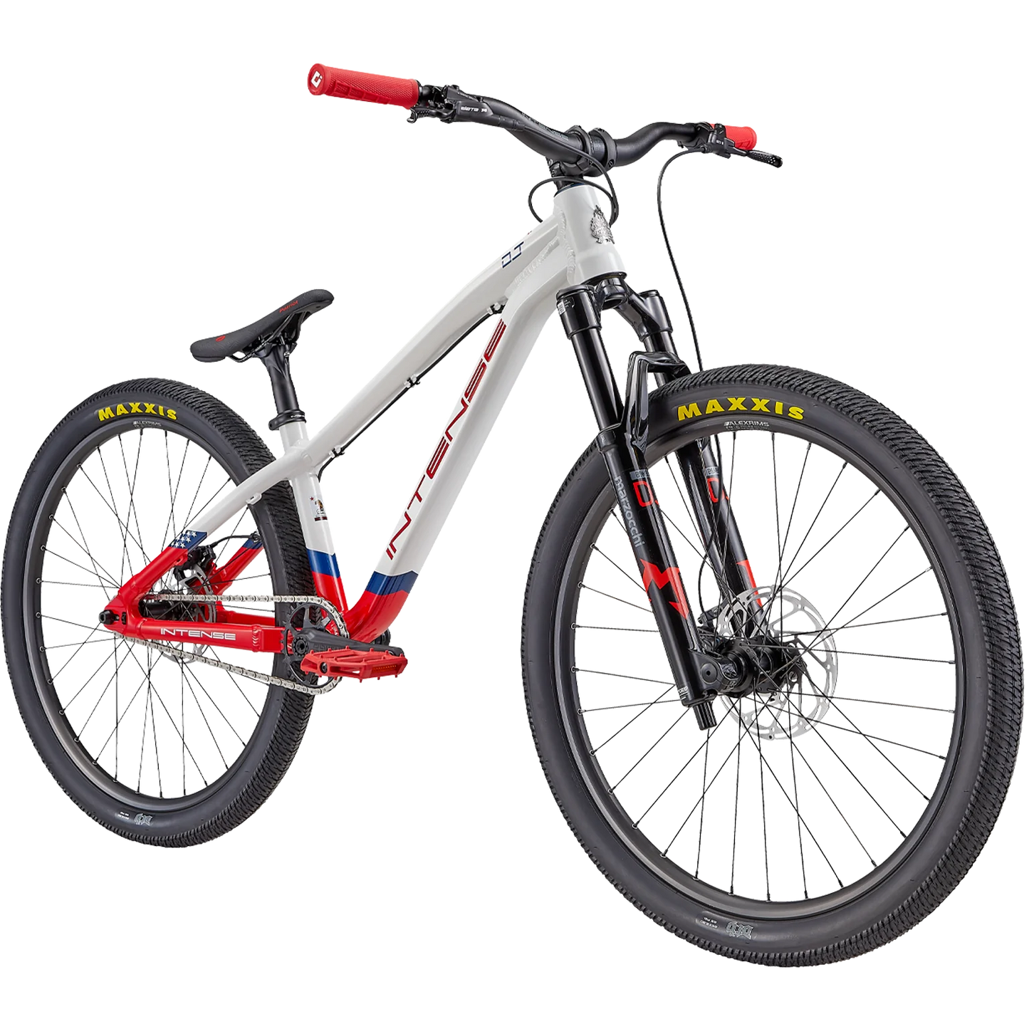 2024 DJ (DIRT JUMP) ANNIVERSARY EDITION - INTENSE