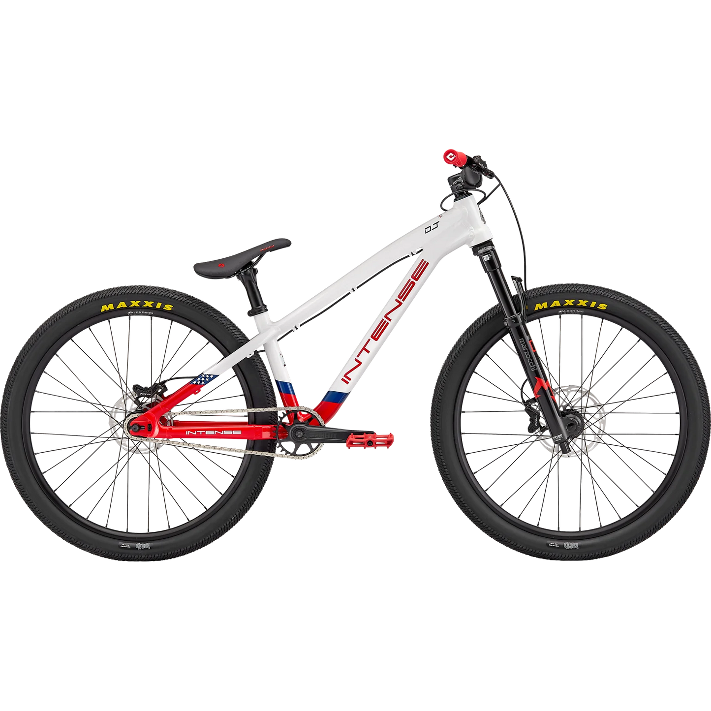 2024 DJ (DIRT JUMP) ANNIVERSARY EDITION - INTENSE