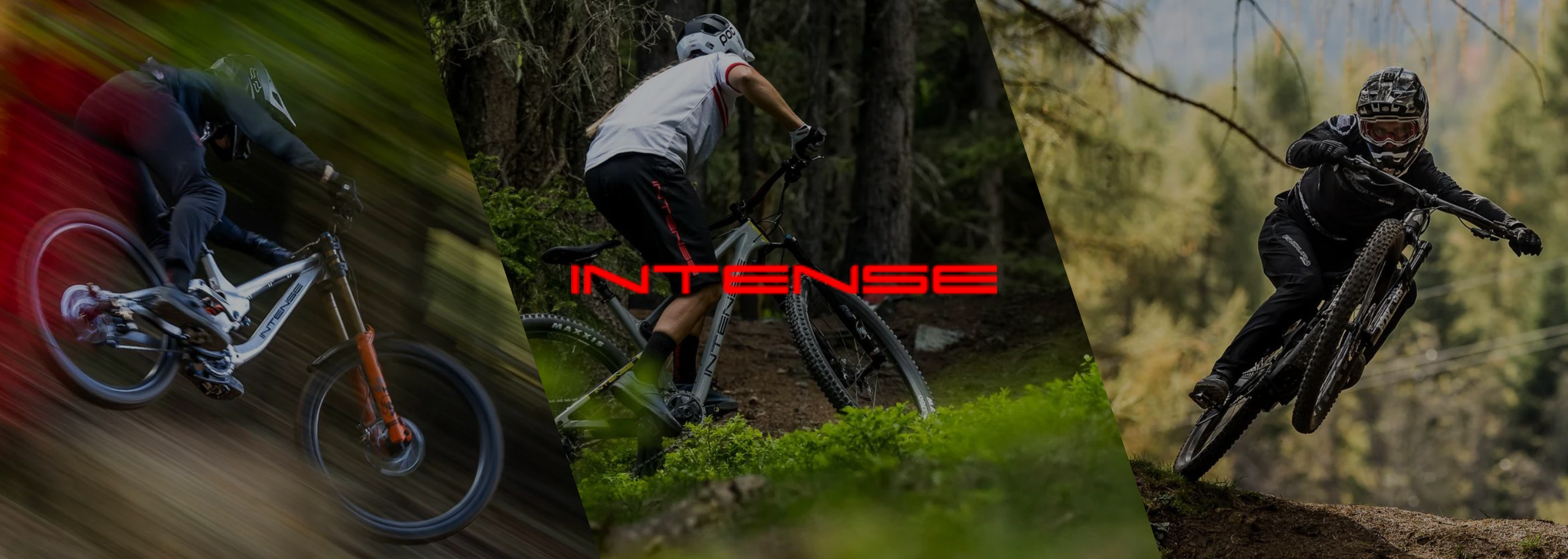 LO NUEVO DE INTENSE 👌