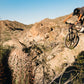4130 TRAIL - MOUNTAIN BIKE - WEST SUNSET - STATE BICYCLE CO.