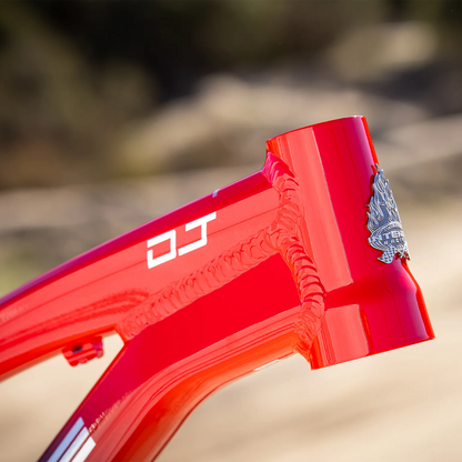 2025 DJ (DIRT JUMP) FRAME - INTENSE