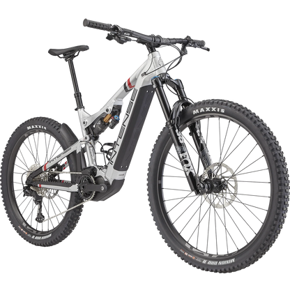 TAZER ALLOY PRO - INTENSE