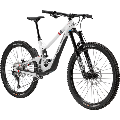 TRACER 29 EXPERT FOX- INTENSE