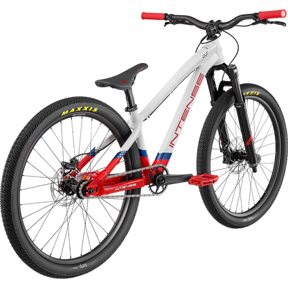 2024 DJ (DIRT JUMP) ANNIVERSARY EDITION - INTENSE